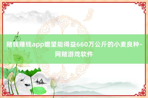 赌钱赚钱app瞻望能得益660万公斤的小麦良种-网赌游戏软件