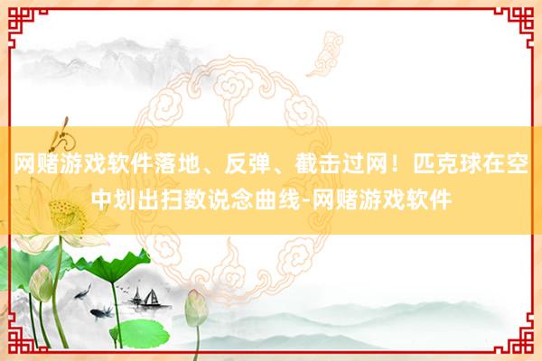 网赌游戏软件落地、反弹、截击过网！匹克球在空中划出扫数说念曲线-网赌游戏软件