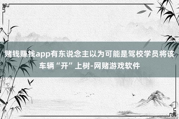 赌钱赚钱app有东说念主以为可能是驾校学员将该车辆“开”上树-网赌游戏软件