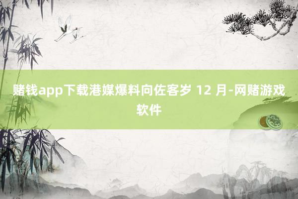 赌钱app下载港媒爆料向佐客岁 12 月-网赌游戏软件