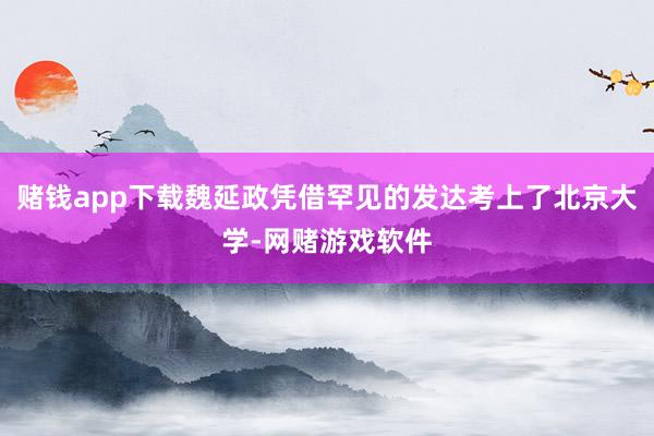 赌钱app下载魏延政凭借罕见的发达考上了北京大学-网赌游戏软件