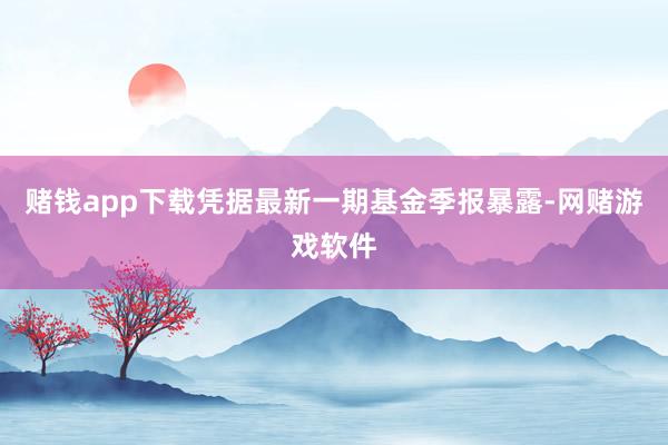 赌钱app下载凭据最新一期基金季报暴露-网赌游戏软件