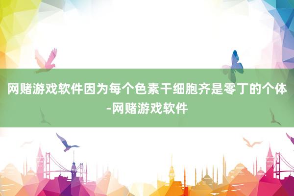 网赌游戏软件因为每个色素干细胞齐是零丁的个体-网赌游戏软件