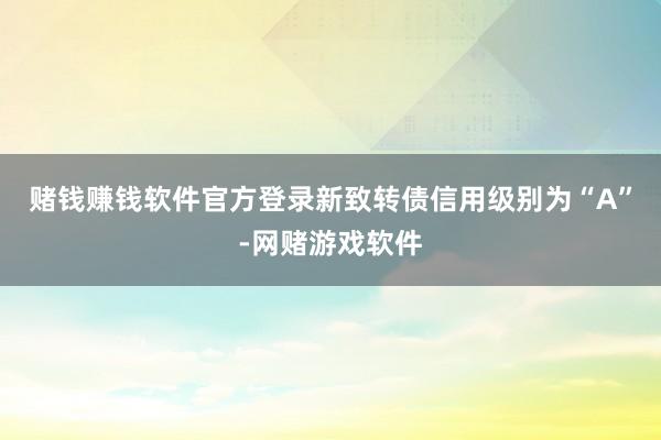 赌钱赚钱软件官方登录新致转债信用级别为“A”-网赌游戏软件
