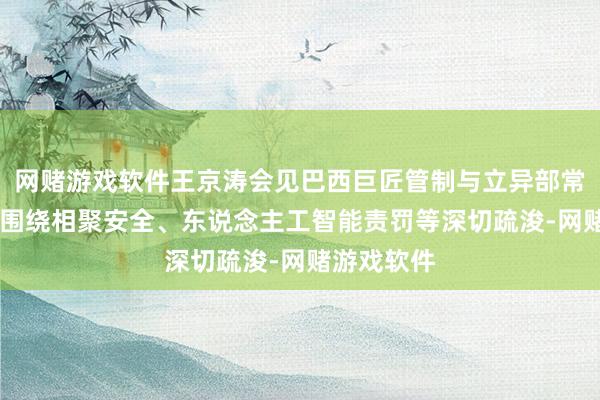 网赌游戏软件王京涛会见巴西巨匠管制与立异部常务副部长 围绕相聚安全、东说念主工智能责罚等深切疏浚-网赌游戏软件
