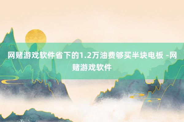 网赌游戏软件省下的1.2万油费够买半块电板 -网赌游戏软件
