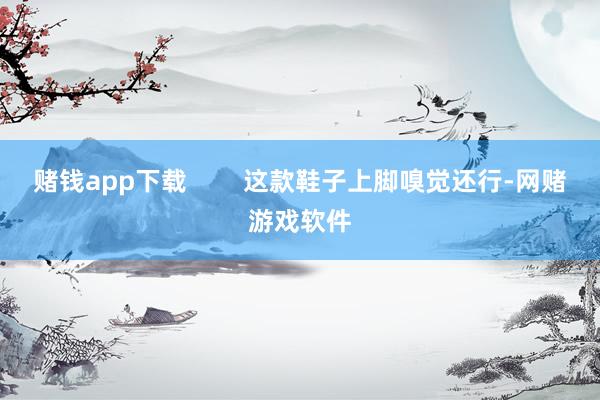 赌钱app下载        这款鞋子上脚嗅觉还行-网赌游戏软件