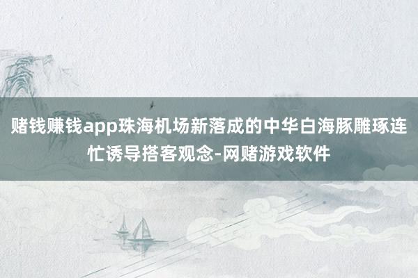 赌钱赚钱app珠海机场新落成的中华白海豚雕琢连忙诱导搭客观念-网赌游戏软件