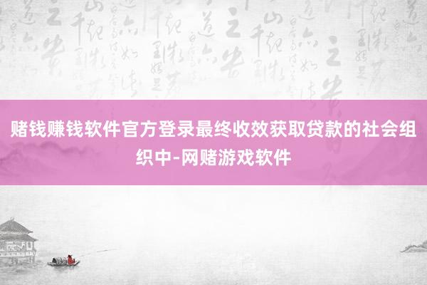 赌钱赚钱软件官方登录最终收效获取贷款的社会组织中-网赌游戏软件